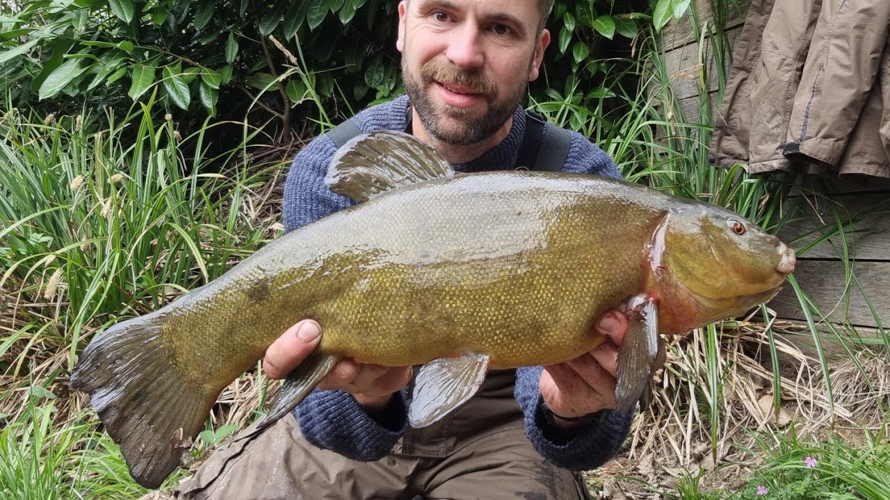 Tench Fishing on the Centrepin | Traditional Float Fishing in the UK