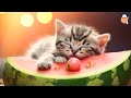 Purrfect serenity relaxing music to soothe and calm your cats  cat music  sleepy cat