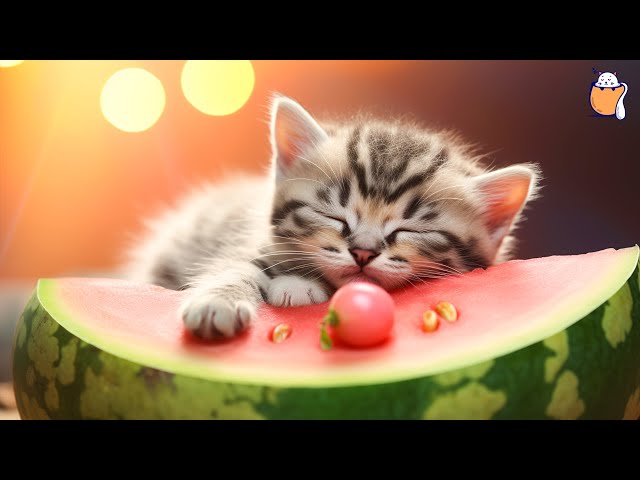 Purrfect Serenity: Relaxing Music to Soothe and Calm Your Cats | Cat Music | Sleepy Cat class=