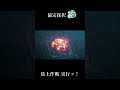 焦土作戦実行ｯ！ #shorts #崩壊スターレイル#産屋敷ボンバー