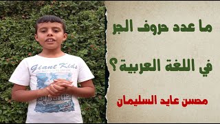 ماعدد حروف الجر في اللغة العربية؟ محسن عايد السليمان