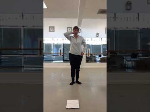 Pirouettes (inside) en dedans