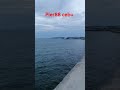 Pier88 cebu