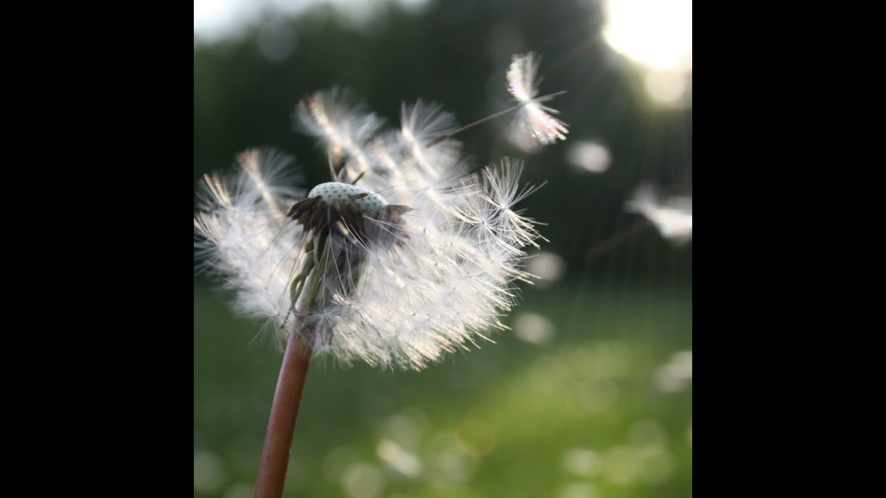 Episode 1 - Why Do I Love being an SEO?