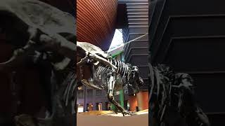 IMG 2656