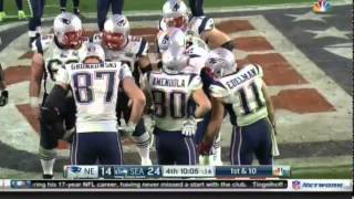 Edelman Concussion Hit in Superbowl XLIX