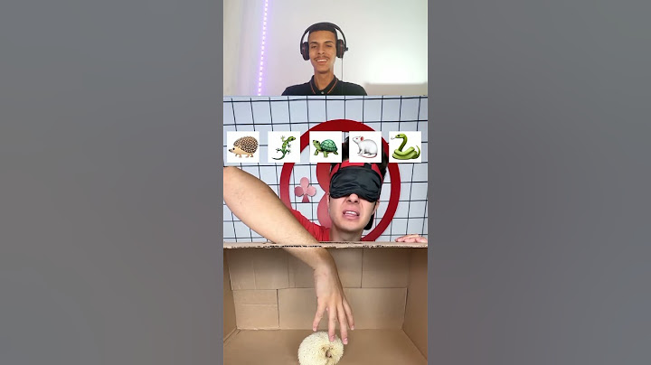 REACT ENALDINHO - GUESS THE BLINDFOLDED ANIMAL!
