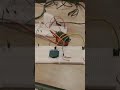Servo controlled by joystick with angle inputs