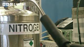 Is Nitrogen the Key to Immortality? | BBC Earth Science