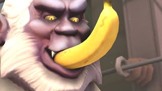 monkey_likes_banana.mp4