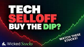 Tech Sell-Off: Where I'd Buy These 11 Stocks | Wicked Market Leaders Guide