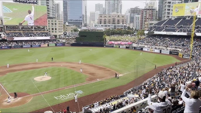 Wil Myers has a lot on his mindnot all of it is hair : r/Padres