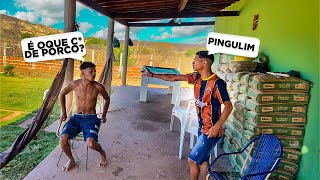 Eles Brlgaram Feio Nesse Vídeo