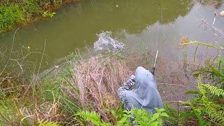 AMBYAR!!! CEWE Vs TOMAN DAN GABUS BESAR || MANCING MONSTER RAWA DI TEPI JALAN