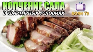 Копчение сала в условиях квартиры Копчение сала в условиях квартиры