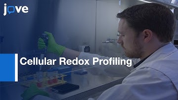 Cellular Redox Profiling Using High-Content Microscopy l Protocol Preview