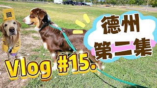 Vlog #15 美國德州旅遊 第二集 #澳洲牧羊犬  #usa #德州 #旅行 #國外旅遊