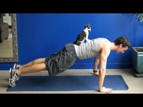 Video: Cat Yoga: Mode Kebugaran Lain?