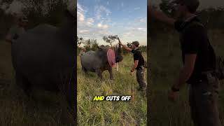 The Only Way to Protect Rhinos from Monsters