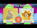 Easter Mystery Fitness Quiz