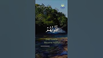 تلاوة عطرة من القرآن الكريم بصوت القارئ الشيخ عمر الدريويز