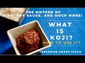 What is Koji and How to Use It? | FERMENTATION | Takoshiho Cooks Japan