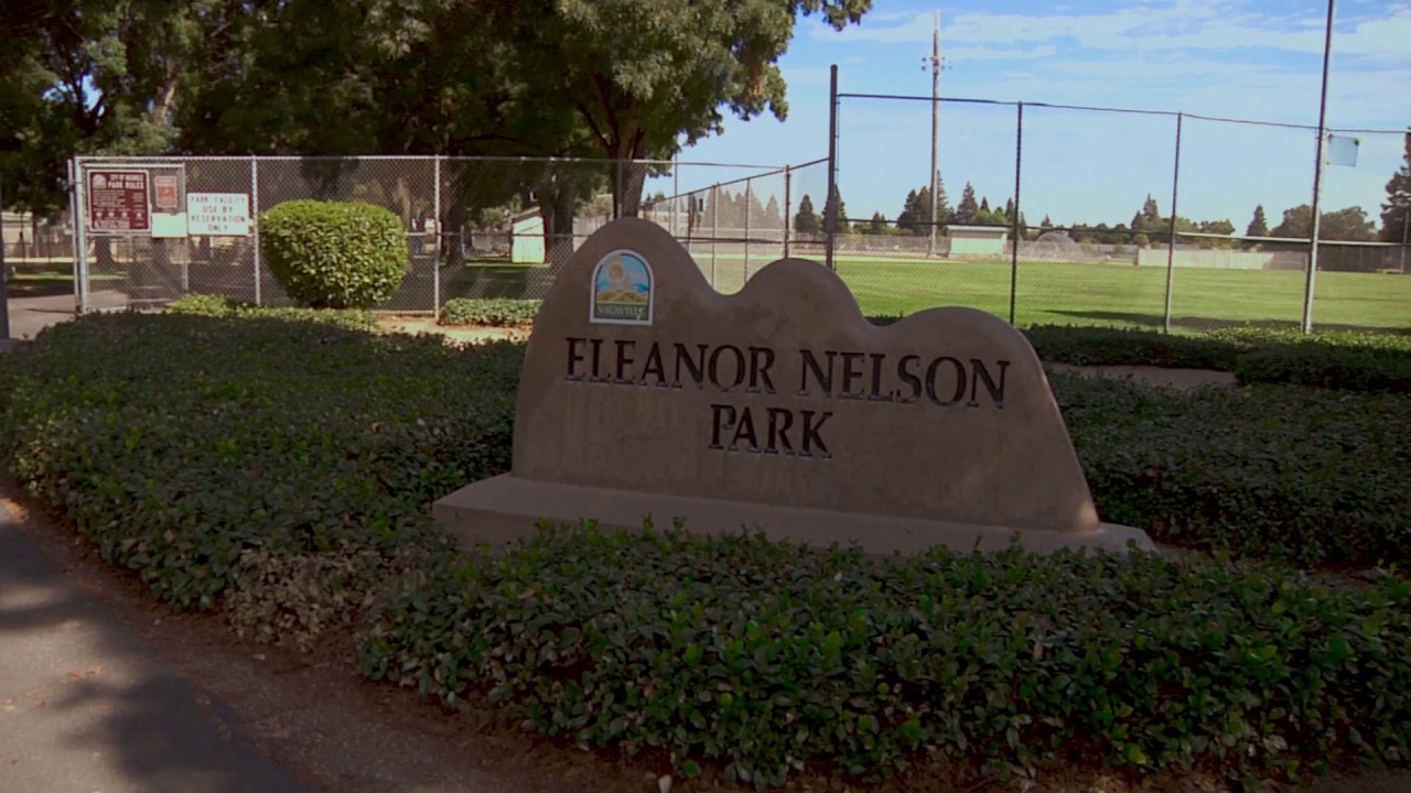Nelson Park YouTube