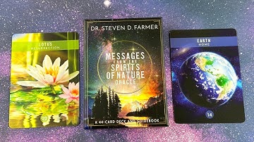 Messages from the Spirits of Nature Oracle Cards | A 44-Card Deck Shamanic Healing | HD Flip Through