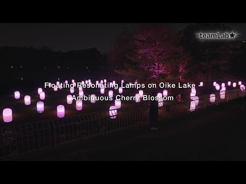 Floating Resonating Lamps on Oike Lake - Ambiguous Cherry Blossom