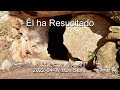 2022-04-17 - Él ha Resucitado- Pastor Ron (Spanish)