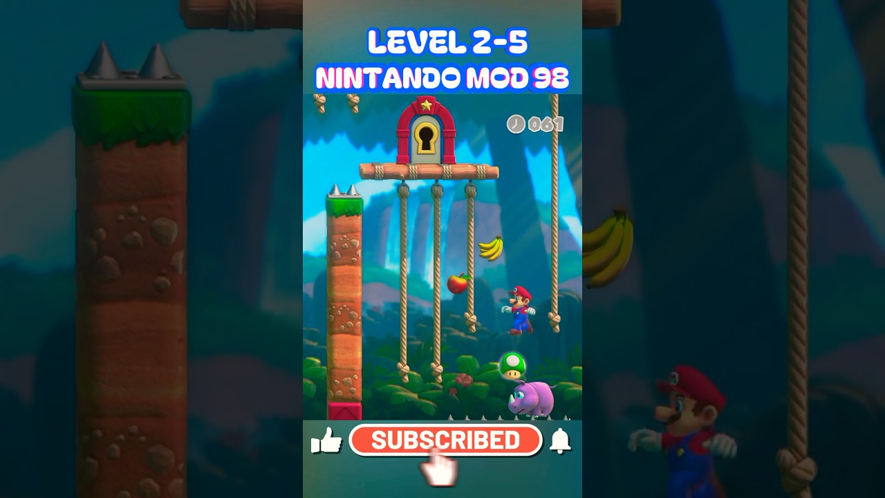 MARIO vs DONKY KONG Level 2-5 GAMEPLAY 