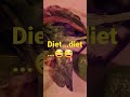 Shallow fried sea bass on a bed of salad#food #fish dish