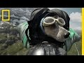 Dean Potter BASE Jumps With His Dog | National Geographic