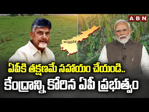 ఏపీకి తక్షణమే సహాయం చేయండి.. | CM Chandrabbau to Central aid for Cyclone loss in A.P | ABN - ABNTELUGUTV