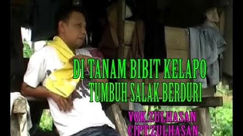 DI TANAM BIBIT KALAPO MANGAPO TUMBUH SALAK BADURI - ZULHASAN [OFFICIAL MUSIK VIDIO]