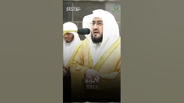 "اللَّهُ لَا إلَٰهَ إلَّا هُوَ الْحَيُّ الْقَيُّومُ" تلاوة بديعة من سورة البقرة - الشيخ #بندر_بليلة
