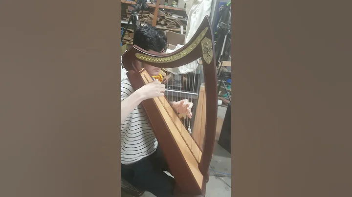 First tunes on recently built new harp. Played by ...