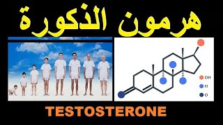 5 طرق مثبتة لزيادة مستويات هرمون التستوستيرون بشكل طبيعي