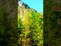 Река Алла. Курумканский район.