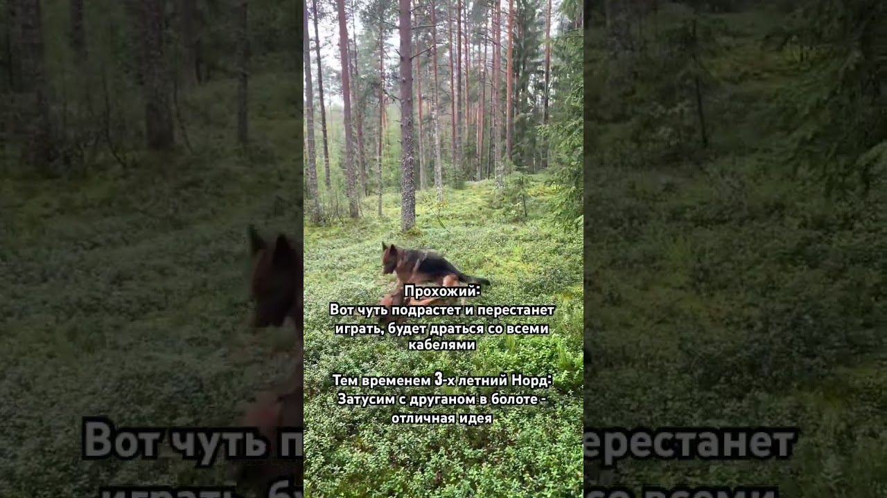 Правильное знакомство кабелей творит чудеса 