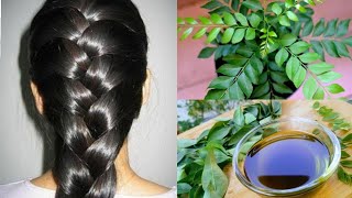 DIY CURRY LEAVES HAIR OIL || Hair oil to get long ,thick , healthy hair