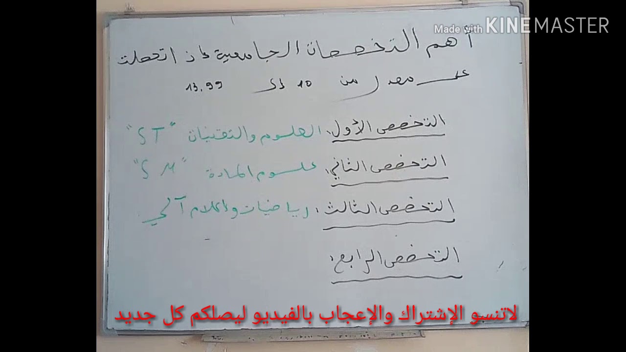 أهم أربعة تخصصات جامعية إذا كان معدلك أقل من 14