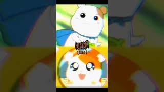 Ebichu Vs Hamtaro