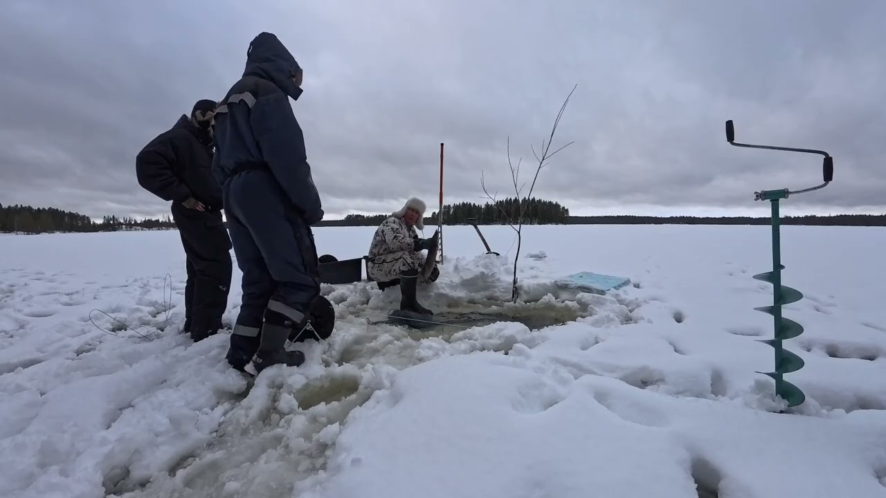 Talviverkoilla, matikka olisi pojilla toiveena, mahtaakohan tulla?