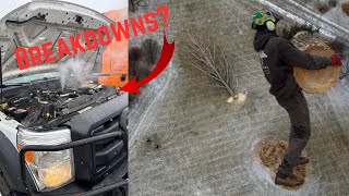 A Bad Day at Work | Tree job in the Cold