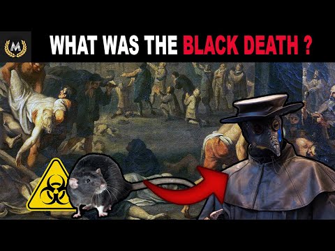 Video: Ar juodoji mirtis gali būti perduodama nuo žmogaus žmogui?