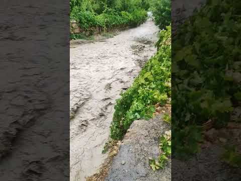 سیل شدید در جنگل های همیشه سبز ارس باران