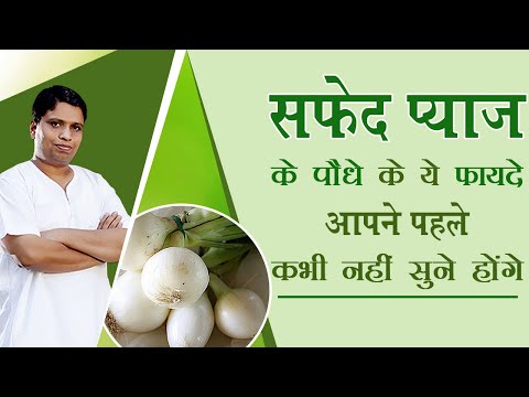 सफेद प्याज के पौधे (White Onion) के ये फायदे