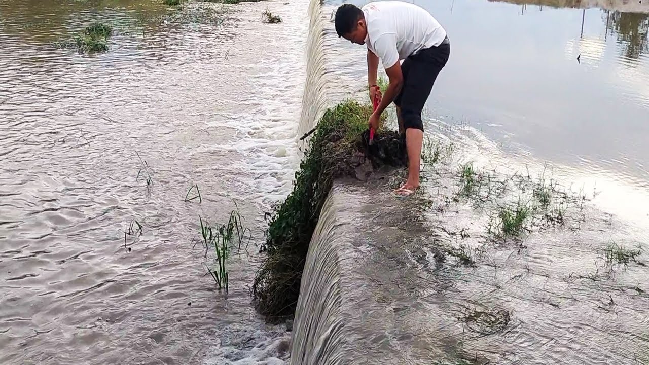 Remove Grass Clogged Drain On Dam