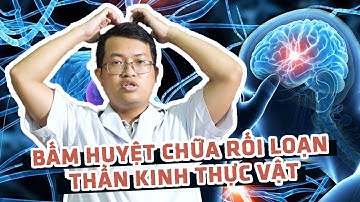 Hướng dẫn bấm huyệt chữa rối loạn thần kinh thực vật